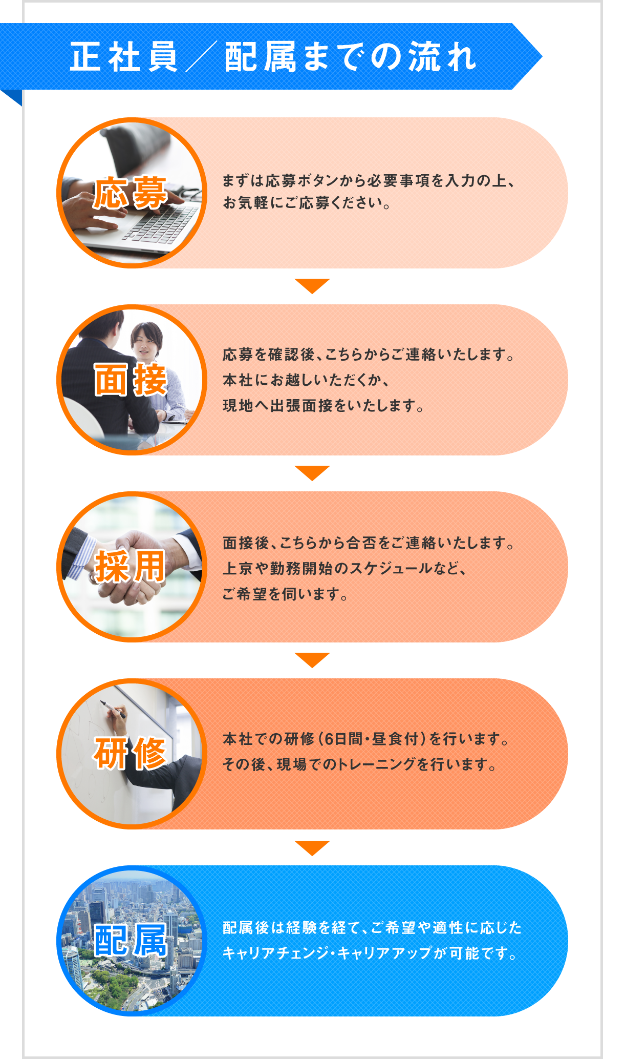 正社員／配属までの流れ